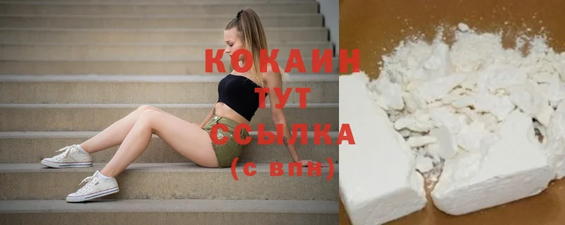 где купить наркотик  гидра ТОР  Cocaine 99%  Лебедянь 