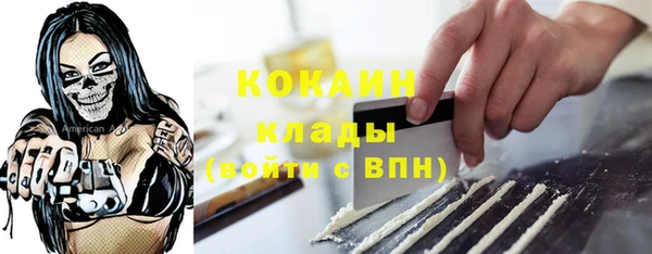прущие грибы Ладушкин