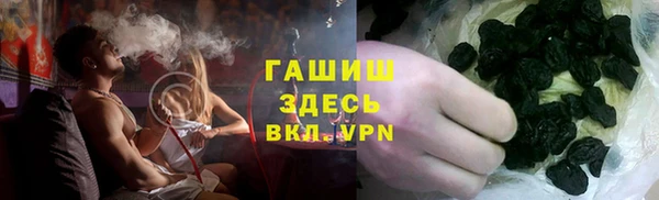 прущие грибы Ладушкин