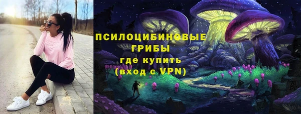 мдпв Лабытнанги
