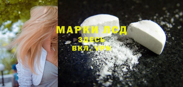 прущие грибы Ладушкин